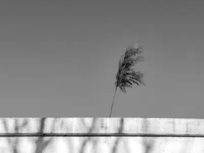 Casino Classy Slots Mobiilirakendus